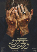 高清 码 免费干货视频官方版下载-高清 码 免费干货视频2026最新版